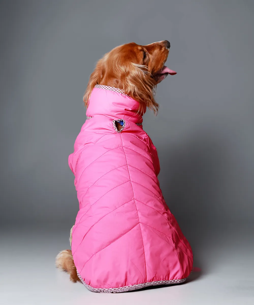 Dog Jacket-Black