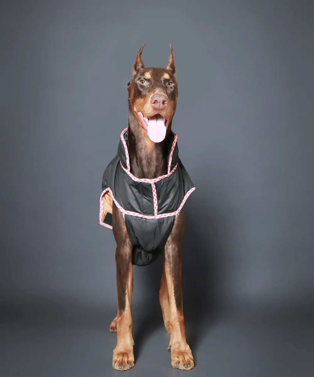 Dog Jacket-Black