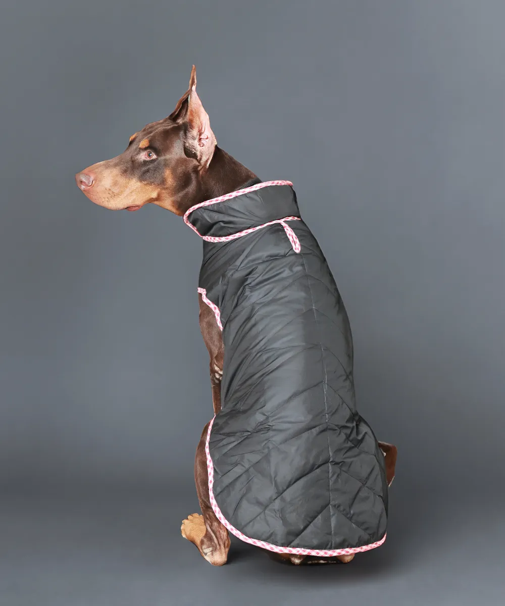 Dog Jacket-Black
