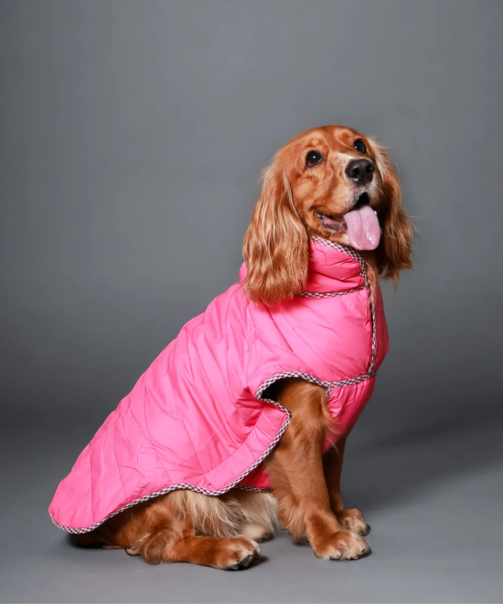 Dog Jacket-Black