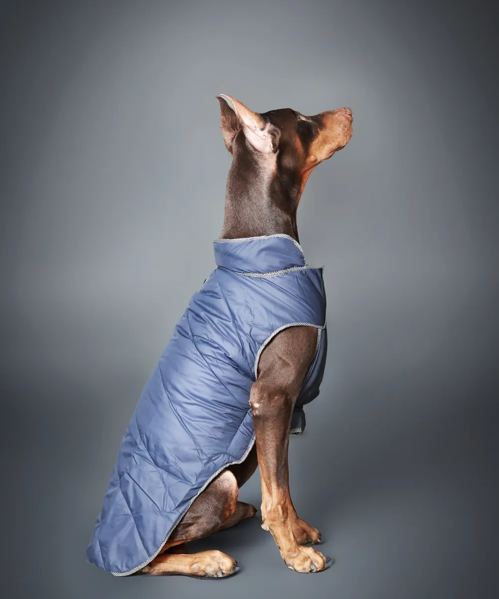 Dog Jacket-Black