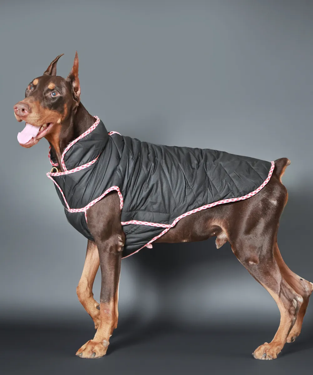 Dog Jacket-Black