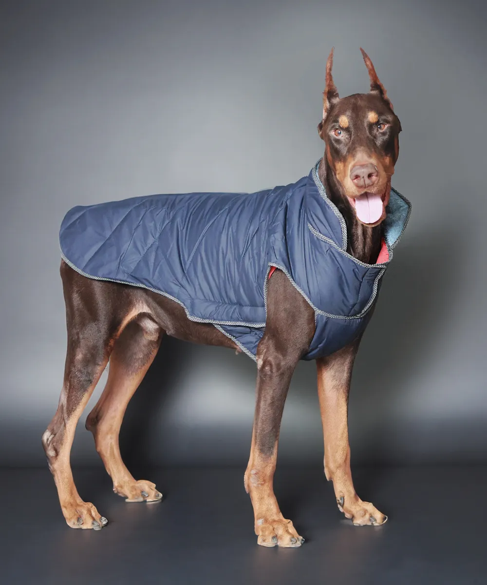 Dog Jacket-Black