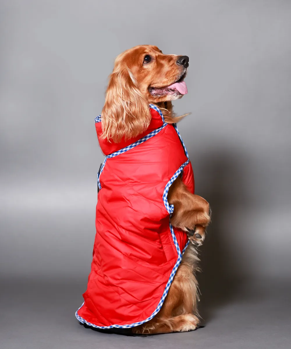 Dog Jacket-Black