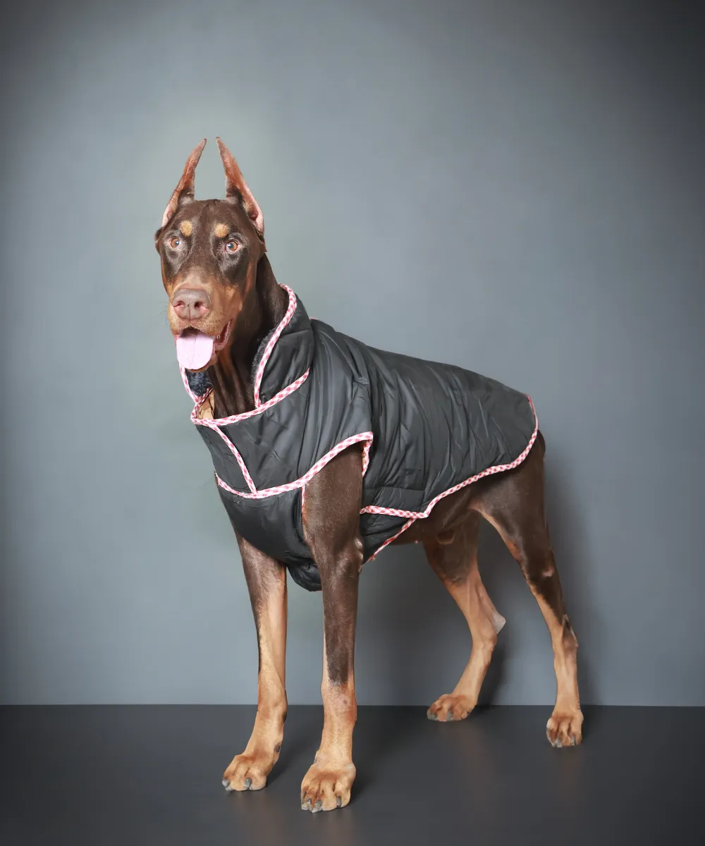 Dog Jacket-Black
